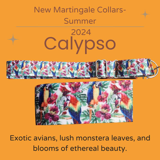 Martingale Dog Collar- 1.5 inch Wide-  Calypso