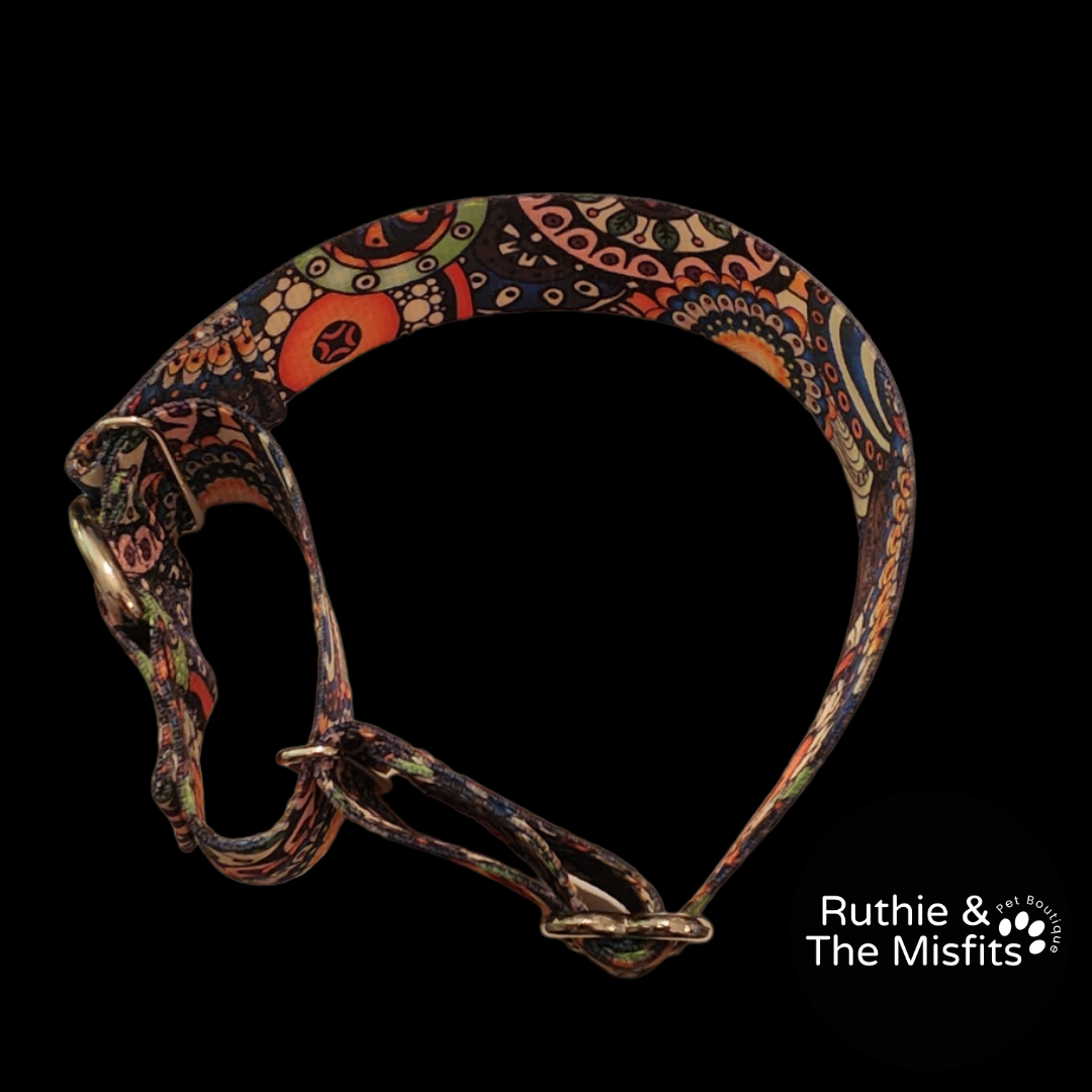 Martingal Collar- Orange whirls