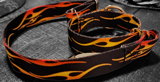 Martingale Collar- Flames