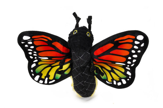 Ruffian Butterfly